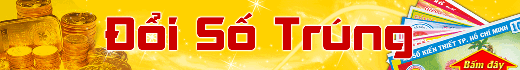 Ảnh banner