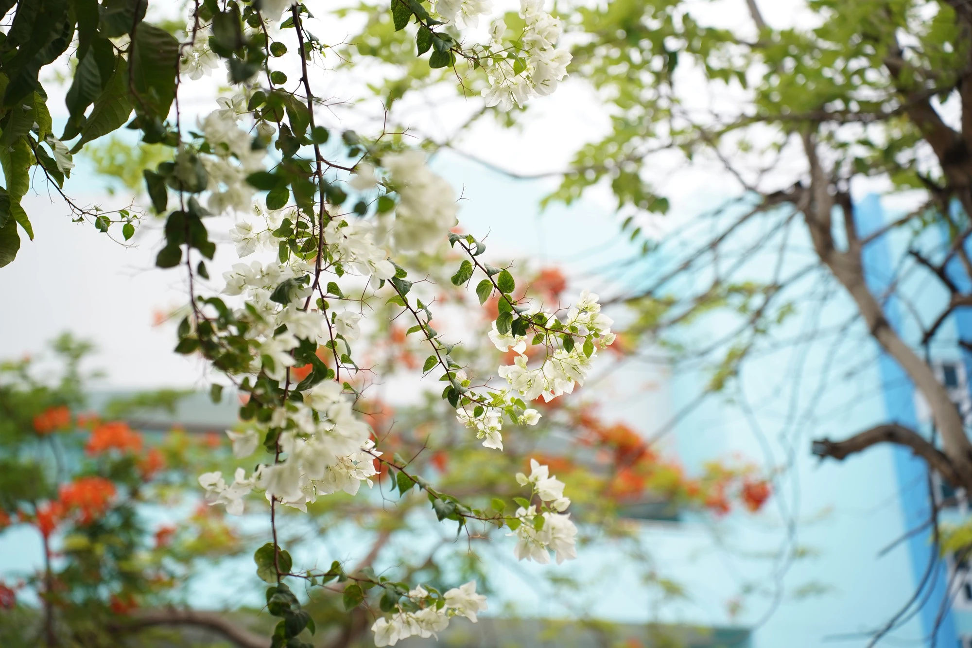 Tin nổi bật Image