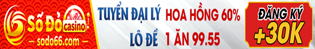 ảnh banner